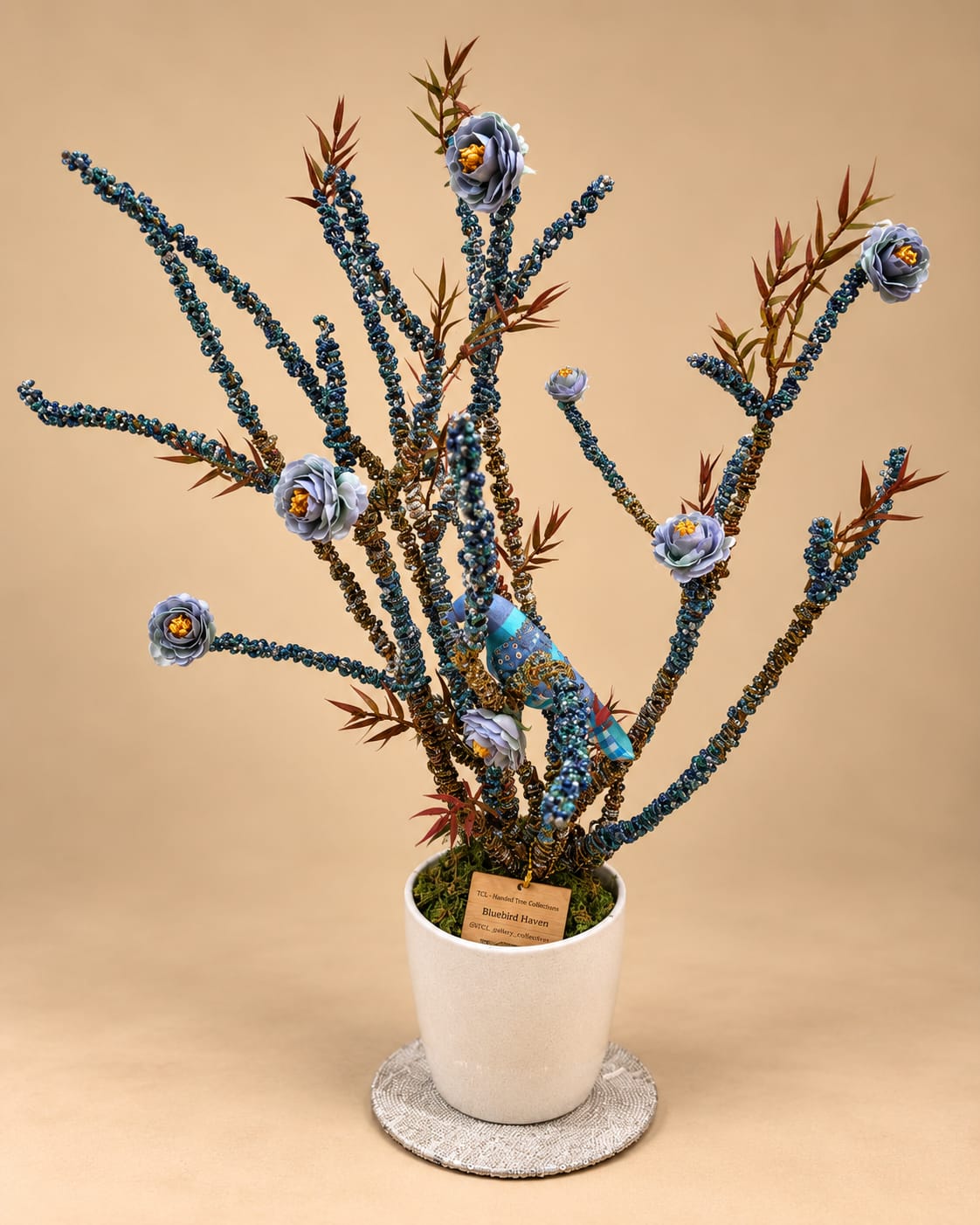 Bluebird Haven